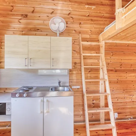 Pinetree With Loft * Pyharanta